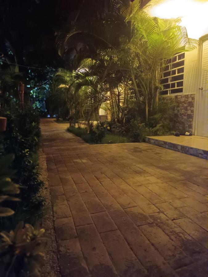 Hostal Cuyagua パロミノ エクステリア 写真